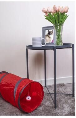 Cat Tunnel With Dangle Toys